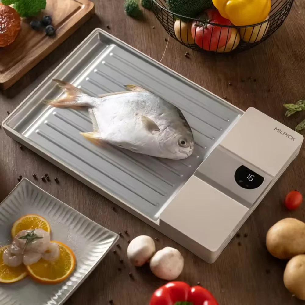 

Professional Kitchen Smart Tray for Rapid Defrosting and Thawing Frozen Meat Quick Plate Board for Steak and Pork Meat