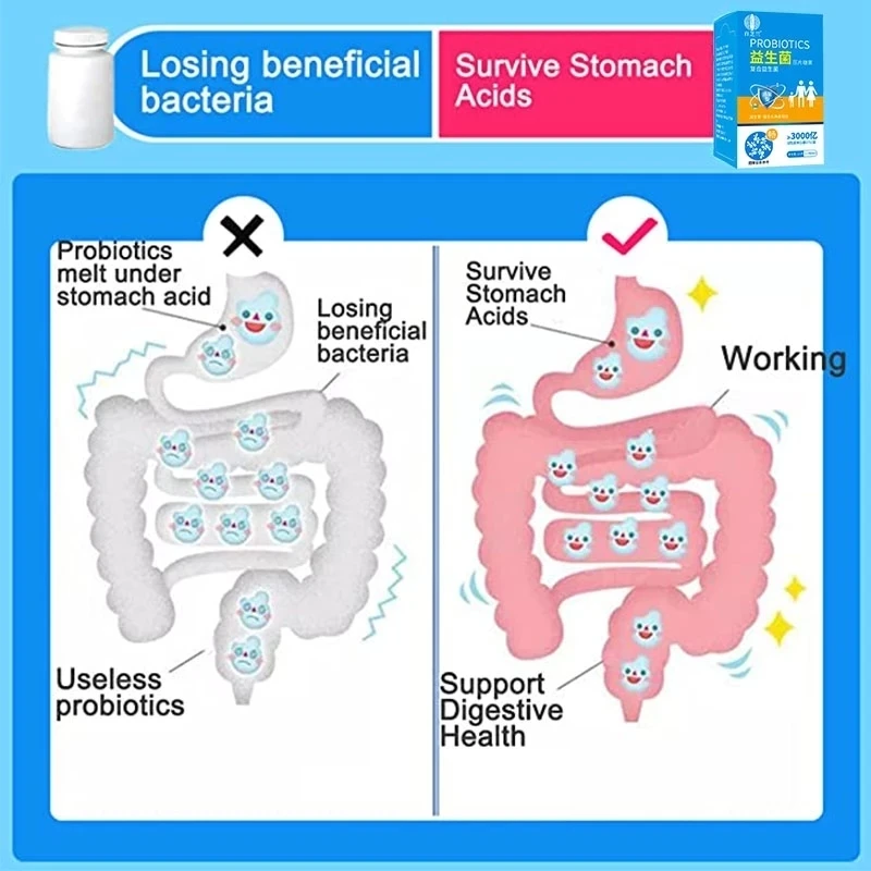 Probiotic Improve Intestinal Absorption Improve Digestion Balanced Colonies Vegan Enzyme Reduce Gas Bloating Constipati