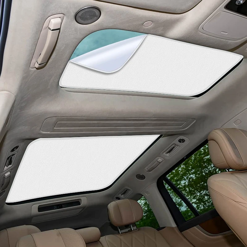 Car Electrostatic A…