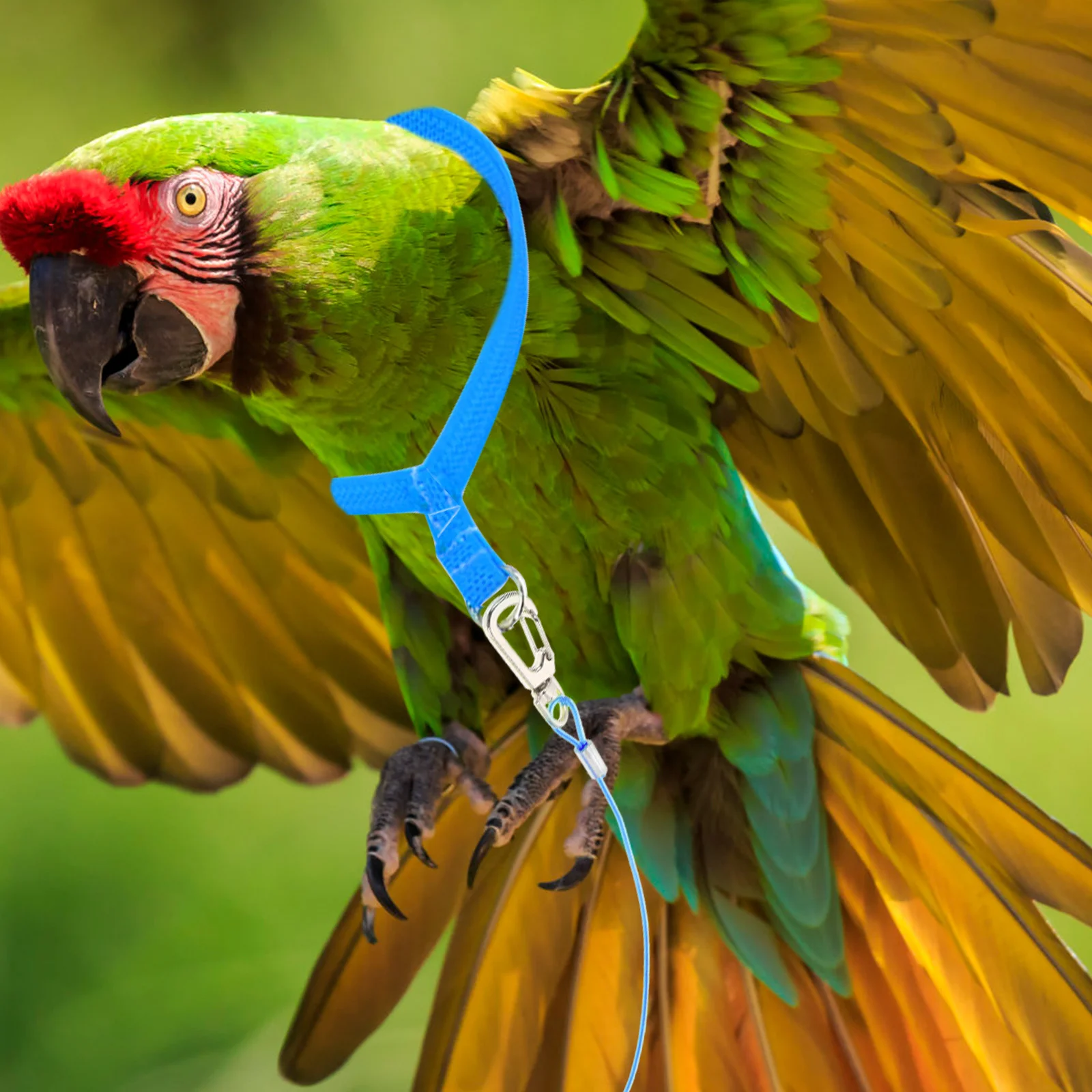 

2Pcs Parrot Flying Harness Outdoor Durable Bird Leash Adjustable Training Rope Safe Non-Injury Pet Accessory Bird Harness