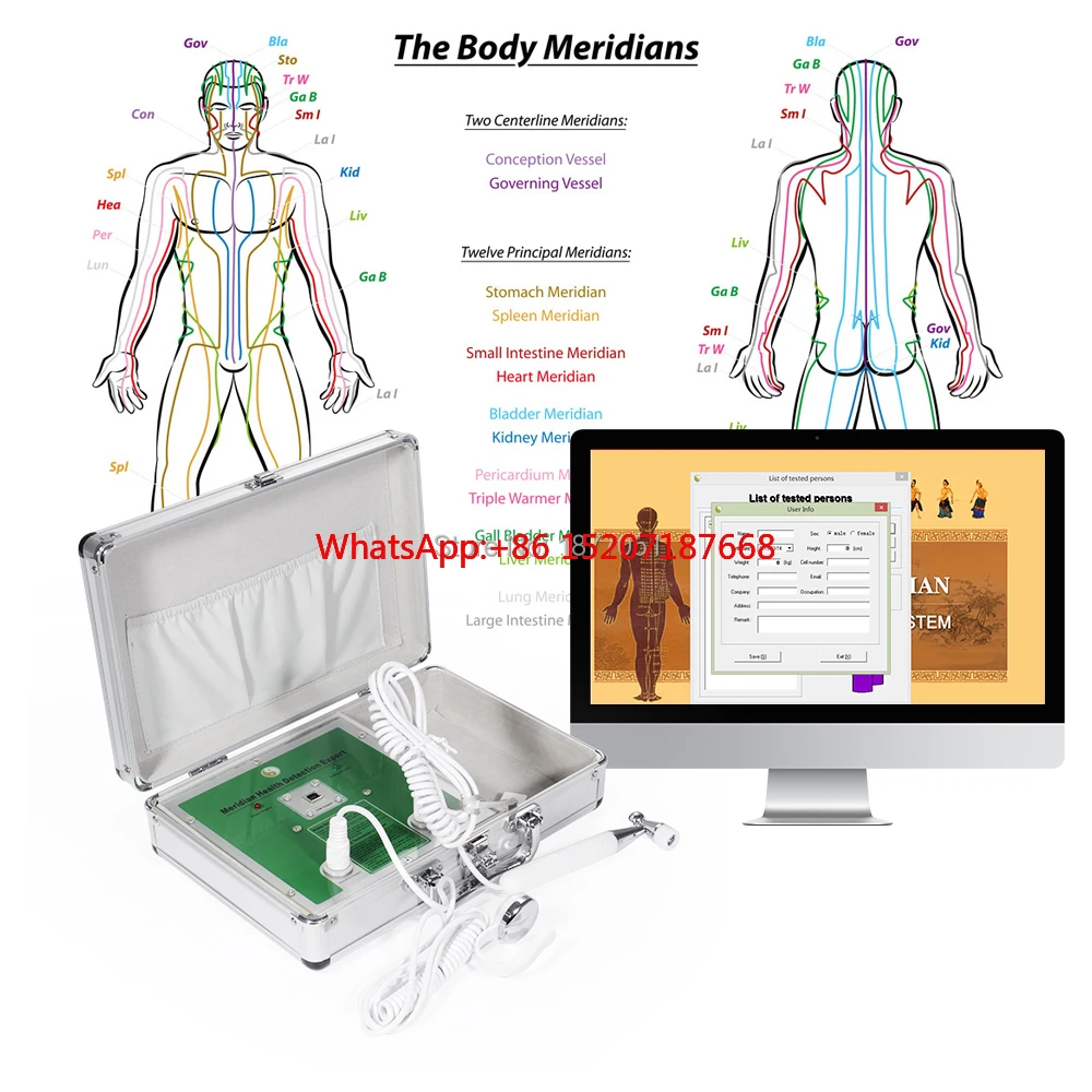 2022 Russian Language Chinese meridian Expert Analyzer Acupuncture health analysis