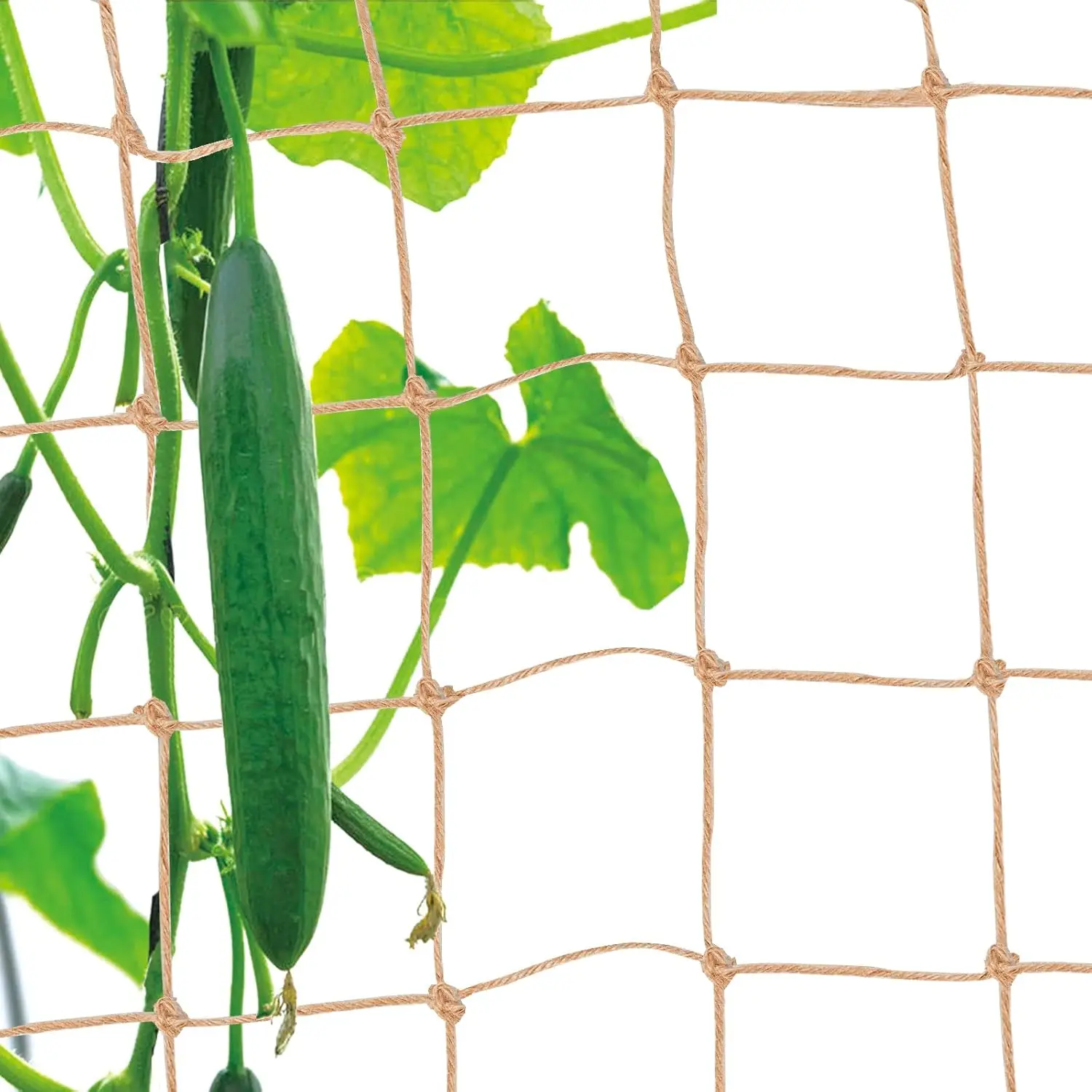 

Jute Trellis Netting - 6.6x9.8ft, 3.9in Squares, Heavy Duty Plant Support for Climbing Vegetables