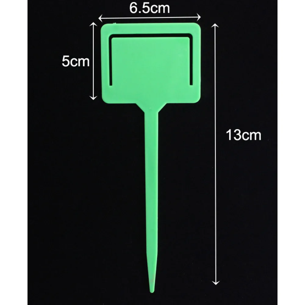 Fruit Prijs Display Pvc Tuin Labels Zaailing Labels Plant Labels Plastic Tag Plaat