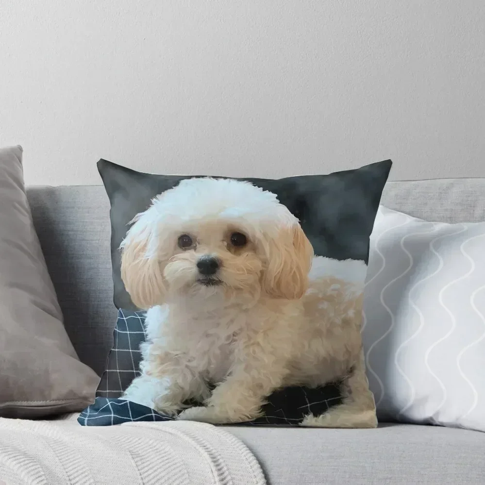Maltipoo Love. Beautiful little dog with long silky white hair. Throw Pillow Sofa Cushion Sofa Cushions Covers anime girl pillow