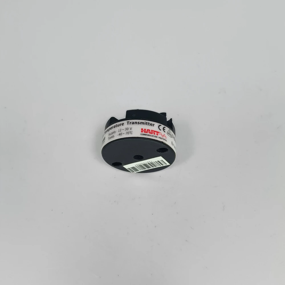 Strumento di misurazione della temperatura