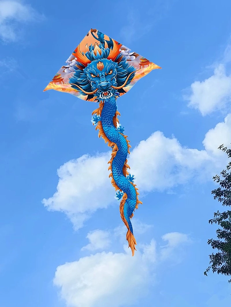 free shipping dragon kite cerf volant enfants basta juego de mesa outdoor games flying bird peonzas trompos cometa fishing play