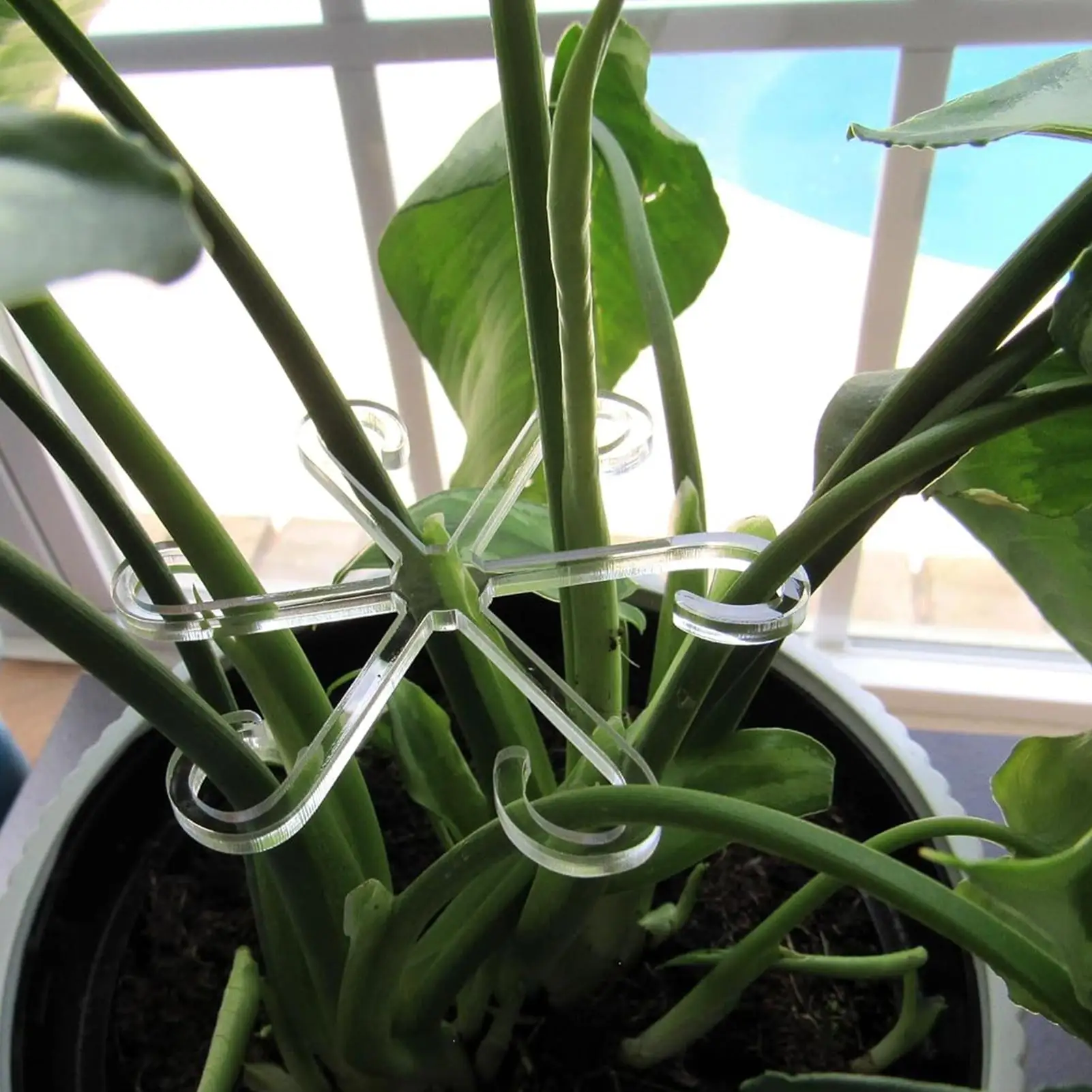 4Pcs Hanging Plant Stand Anti-Toppling Support Pole Plastic Hooks Fixator Support Fixer Hydroponic Branch Fixing Pot Rack