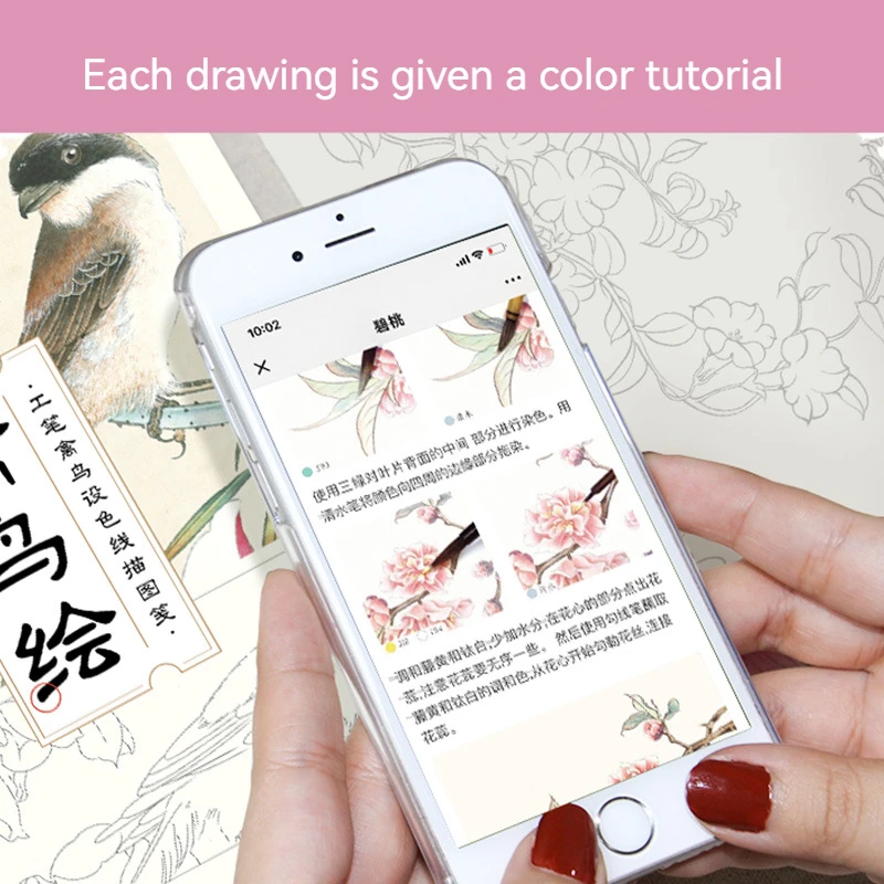 Chinese Painting Outline Beginner Line Coloring Book Art Detailed Hand-Drawn Copying Flowers Birds Traditional Chinese Painting