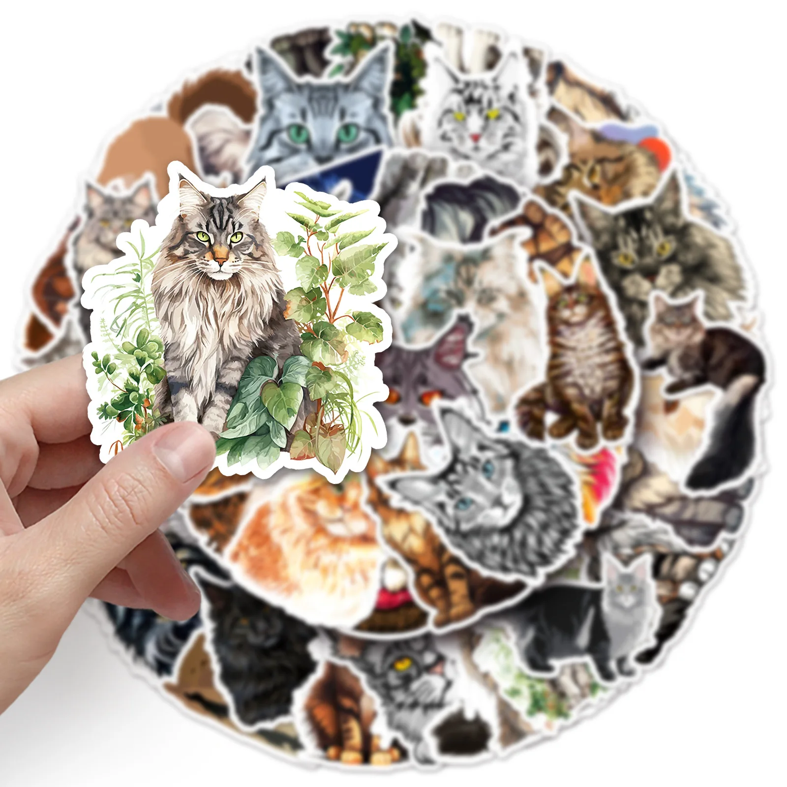 50 STKS Maine Coon Leuke Huisdier Kat Cartoon Dieren Leuke Doodle Decoratieve Laptop Koffer iPad Water Cup Waterdichte Sticker Kinderen Speelgoed
