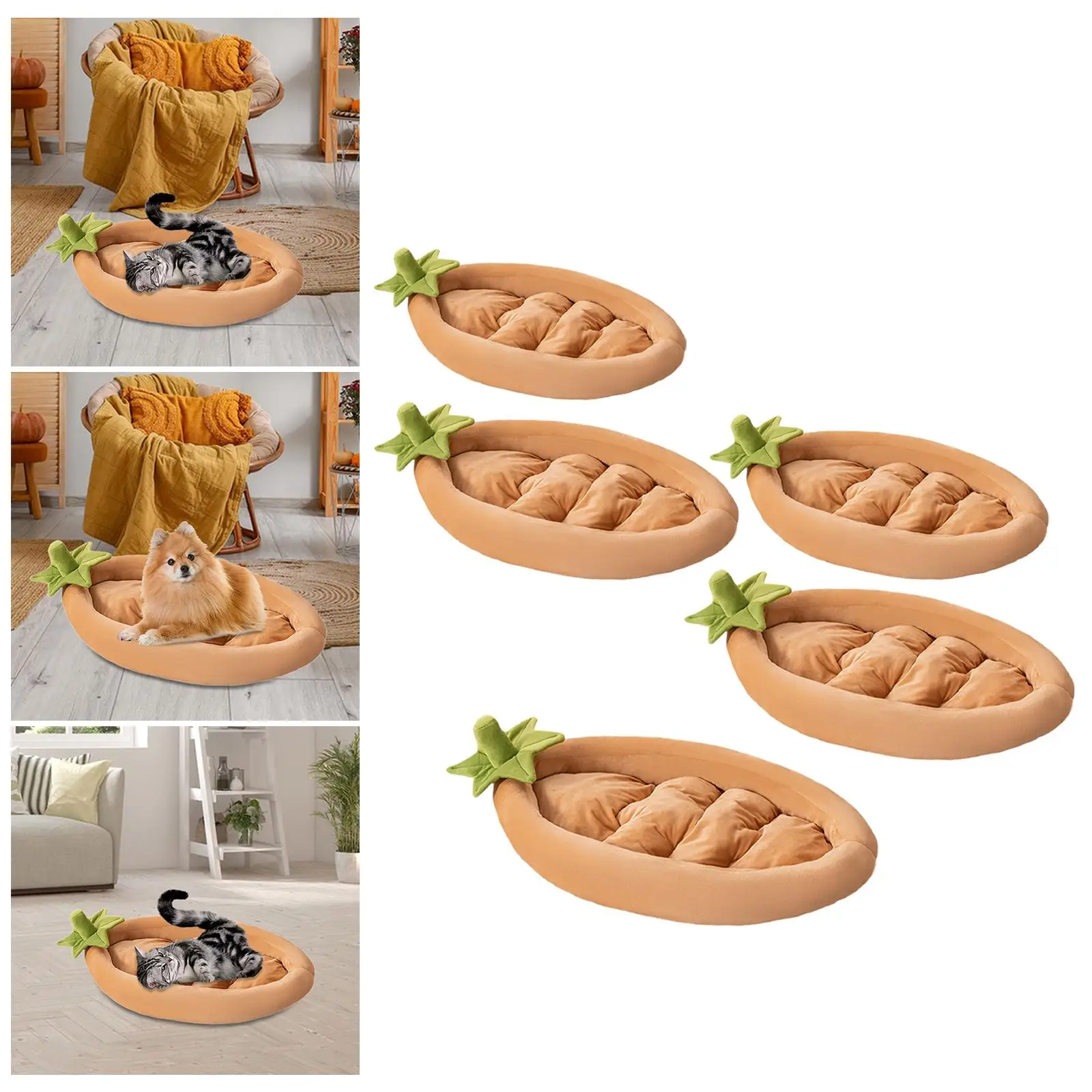 سجادة أرضية للحيوانات الأليفة للكلاب والقطط للقطط الصغيرة والمتوسطة والكبيرة والقطط الداخلية #1