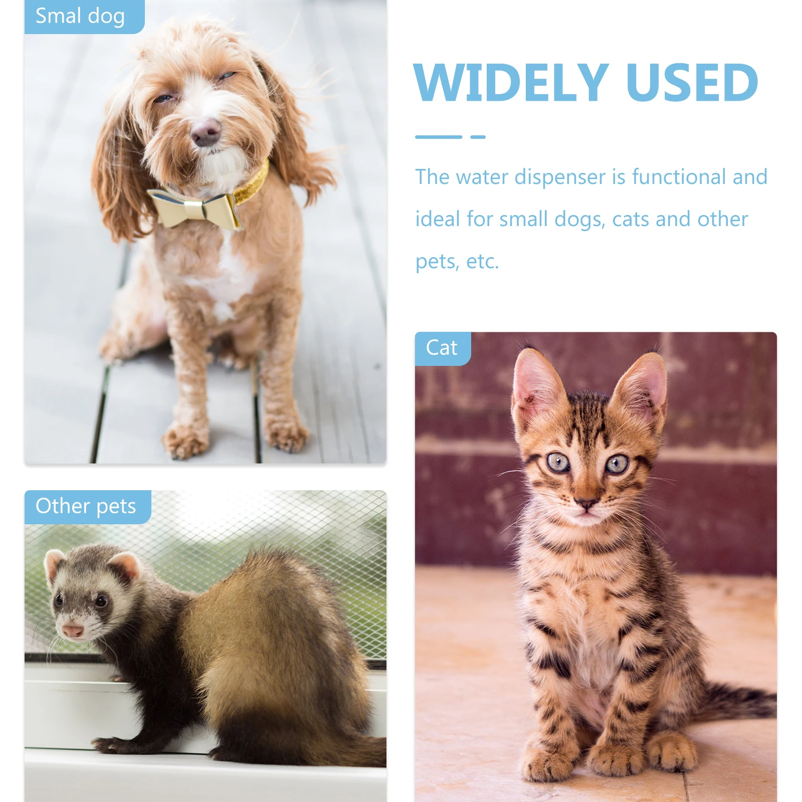 

Automatic Pet Waterer 1Pc Small Grey PP Cat Bowl Dog Fountain Self Watering Dispenser Storage Bucket Pet Supplies