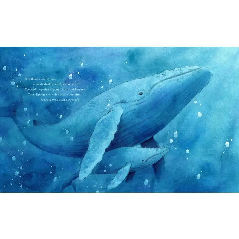 Sakika KikuchiShow Us Where You Live Humpback Beryl Young Greystone Books 9781771645737 Book