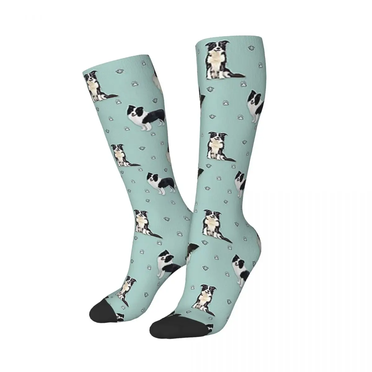 Border Collie Socks Harajuku High Quality Stockings All Season Long Socks Accessories for Unisex Gifts