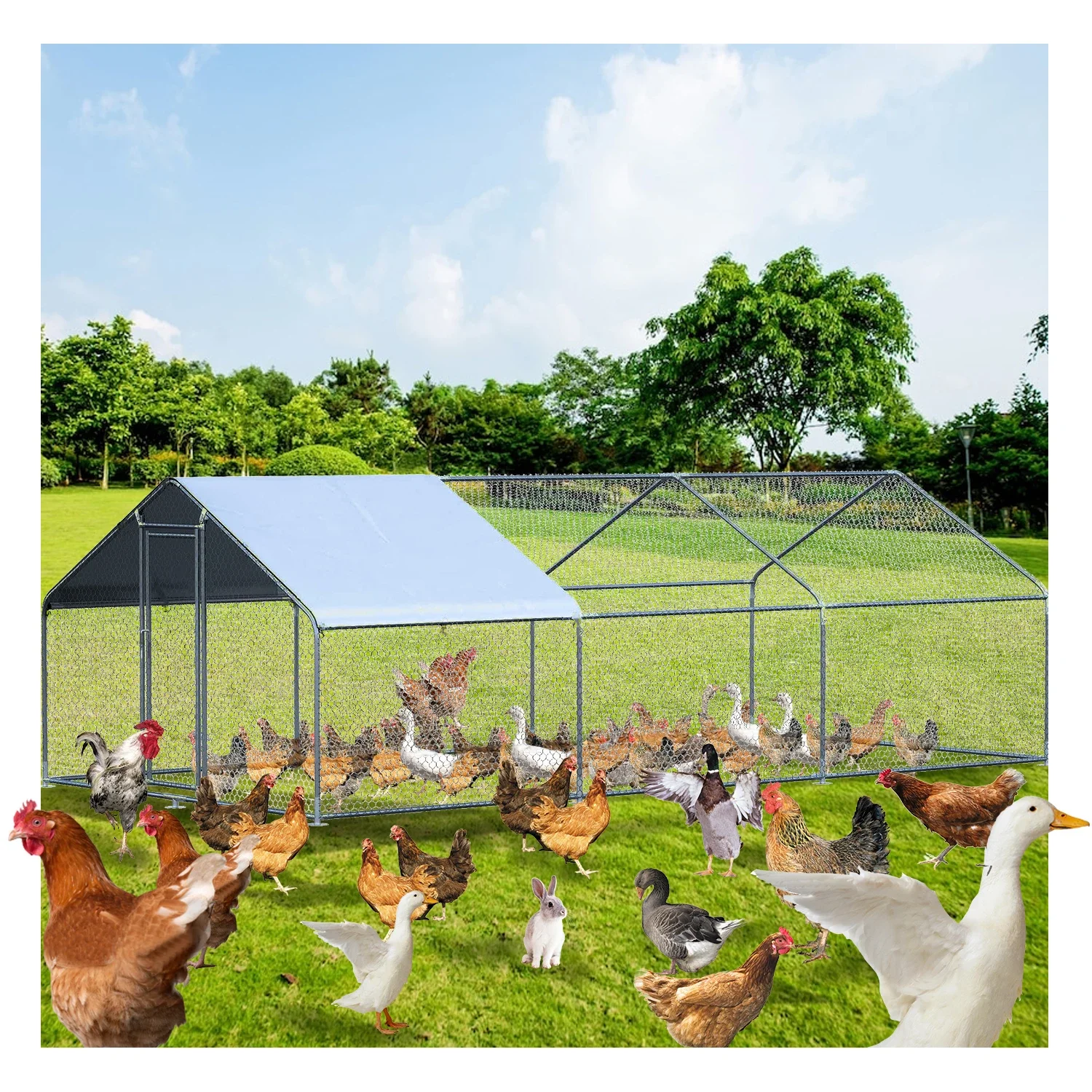 Large Metal Chicken Cage Rabbit Hutch Galvanized 19.5*9.8*6.5 Feet Chicken Outdoor Cages With Waterproof