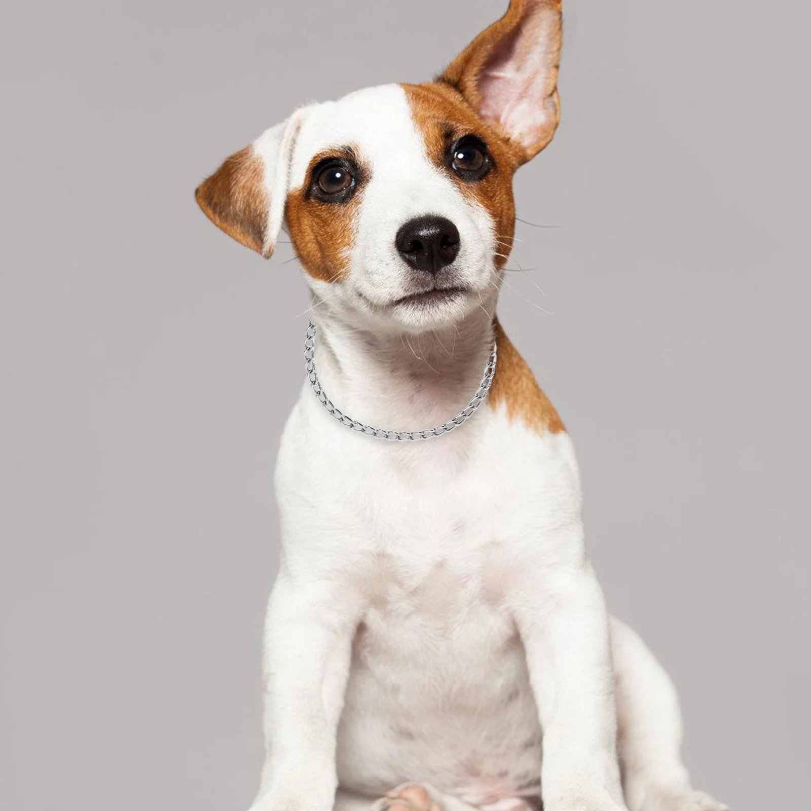 

Chrome Plated Dog Collar Chain for Small Breeds Lightweight Stylish Metal Decorative Pet Necklaces Durability Dog
