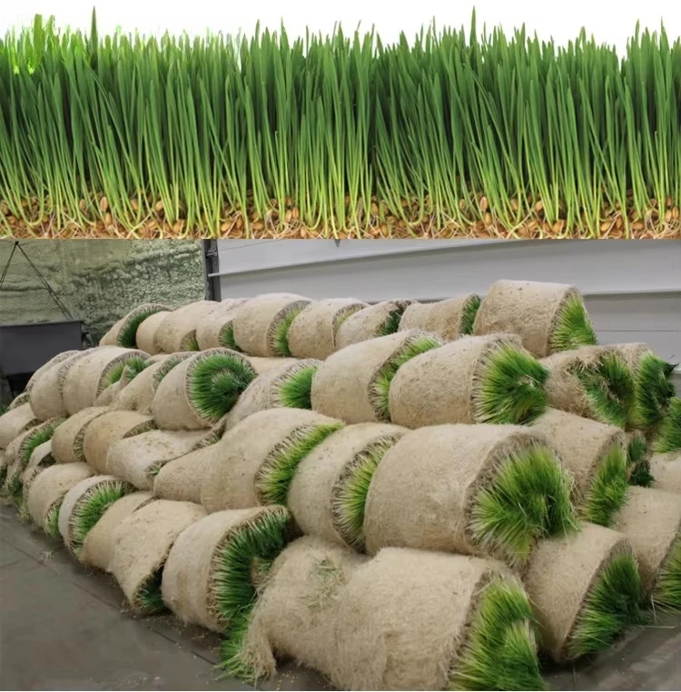 Hydroponic Animal Feeds Grass Fooder Machine System