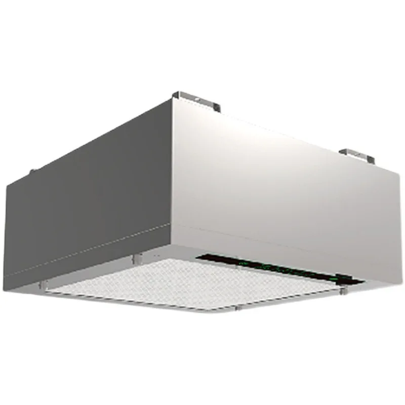 Space cleaning and static removal equipment Ionized FFU Laminar flow wind dust removal purifier Electrostatic FFU