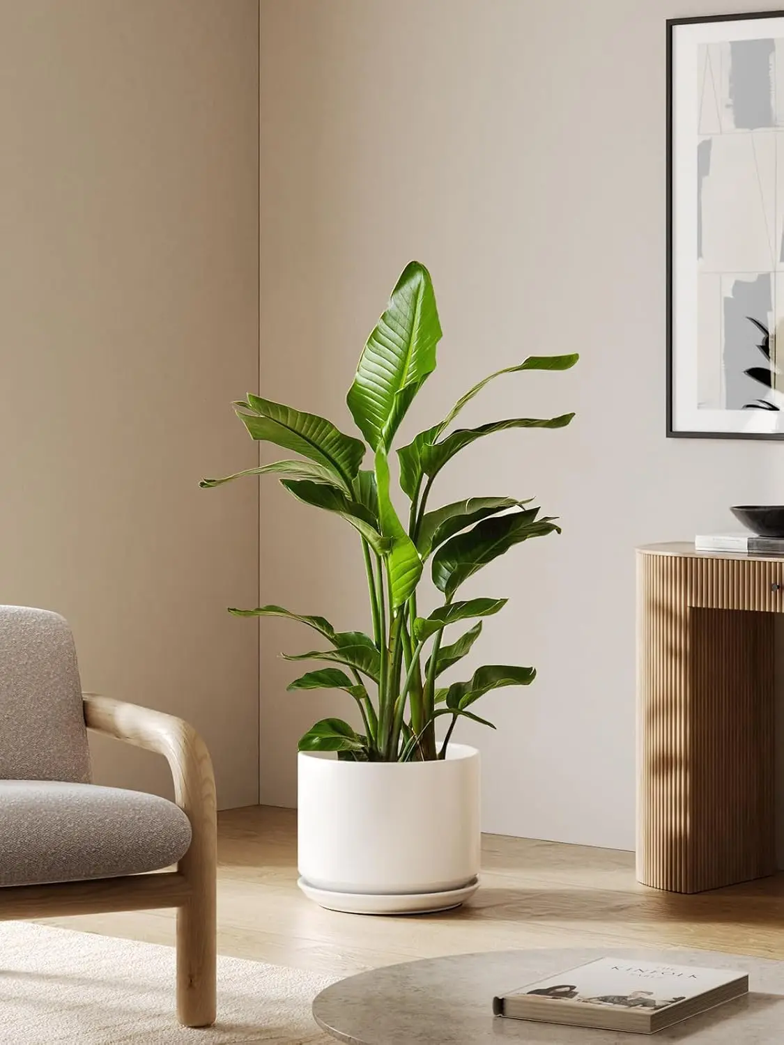 White Ceramic Plant Pots with Drainage Holes and Saucers for Home & Office Decor, Elegant and Durable