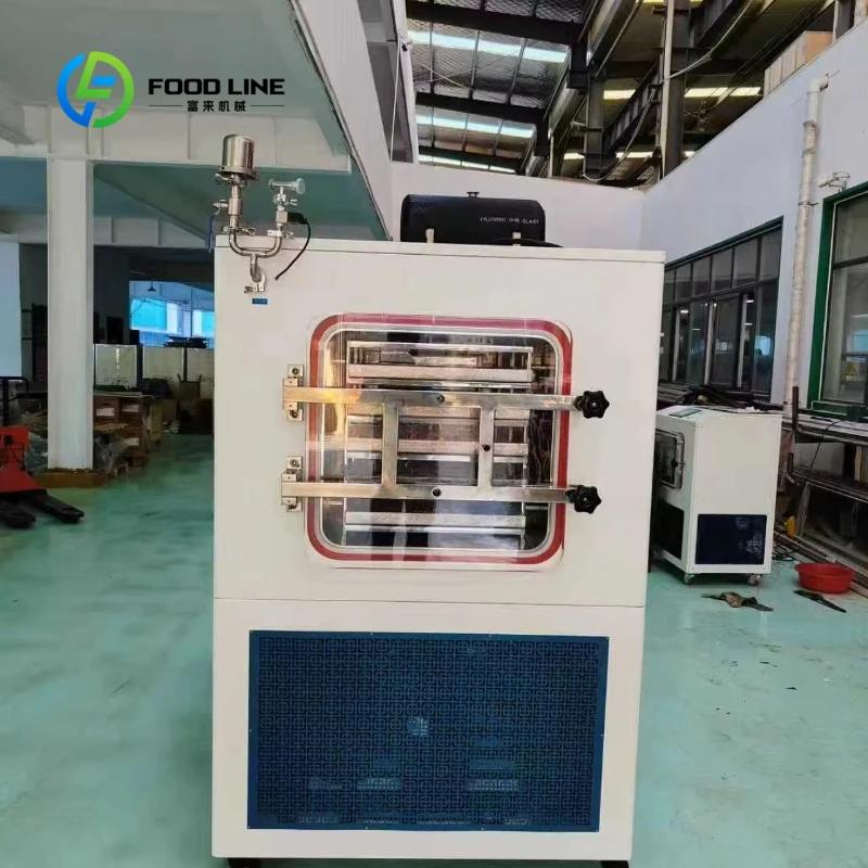 Customized Commercial Silent Vacuum Pet Food Sublimation Freeze Dryer Household Frozen Drying Machine Vacuum Lyophilizer