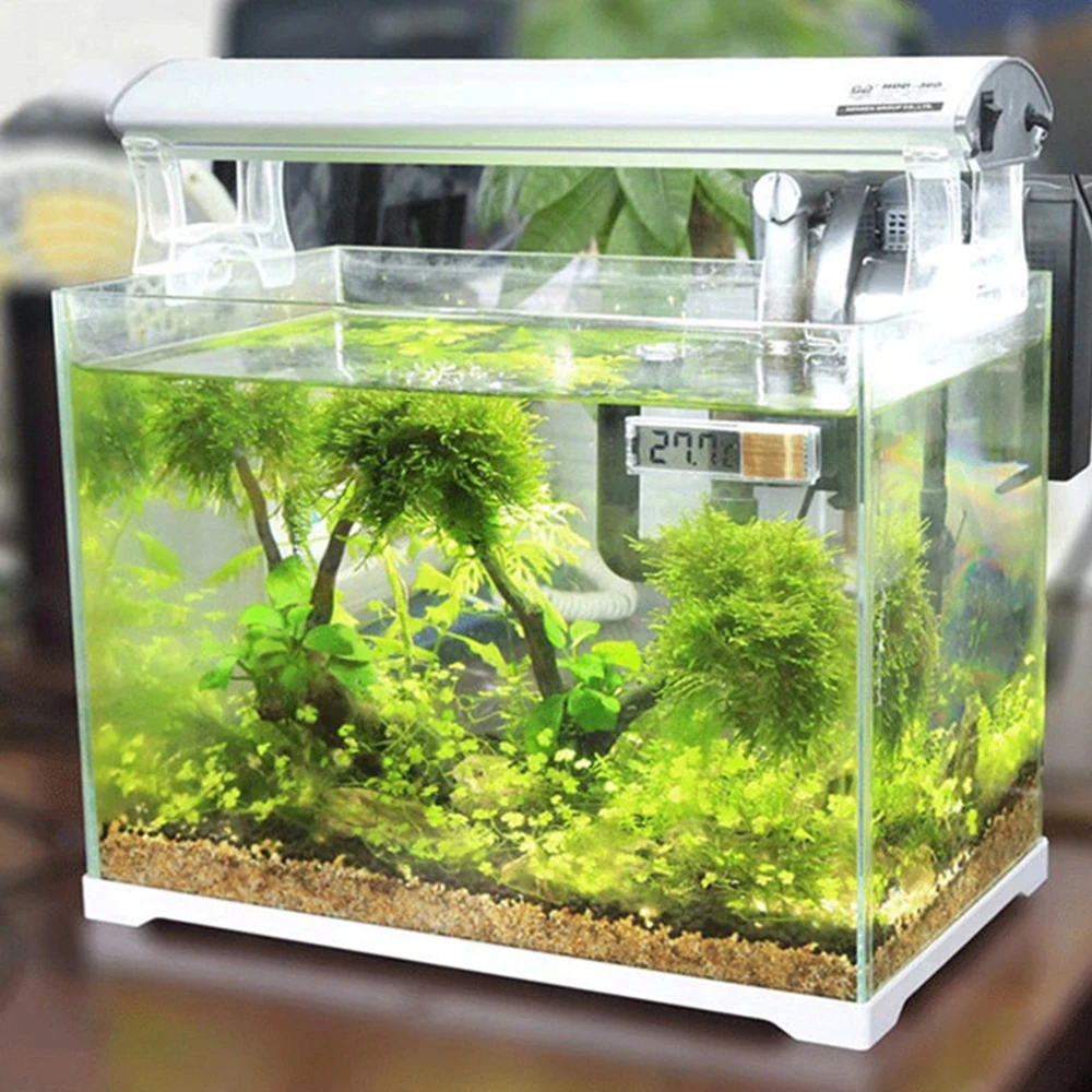 Vwinget-Therye.com électronique numérique pour mesurer la température des poissons, accessoire pour aquarium