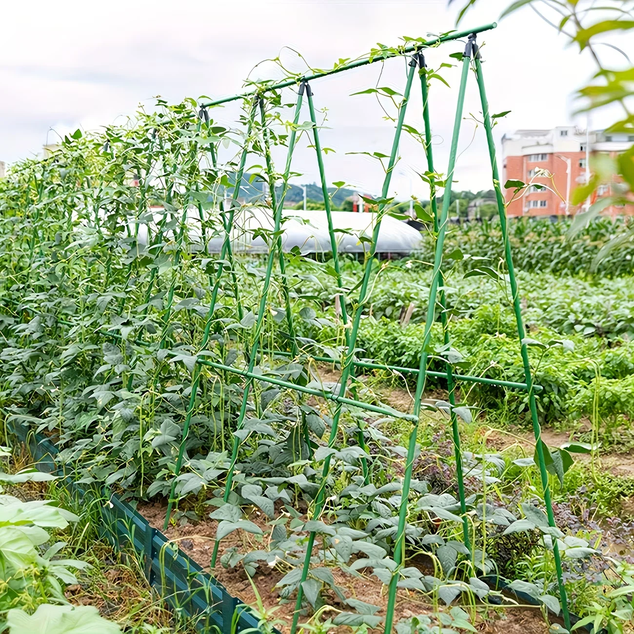 1set Sturdy Metal Climbing Plant Garden Lattice,for Cucumbers, Beans And Tomatoes-Durable Plant Support Frame