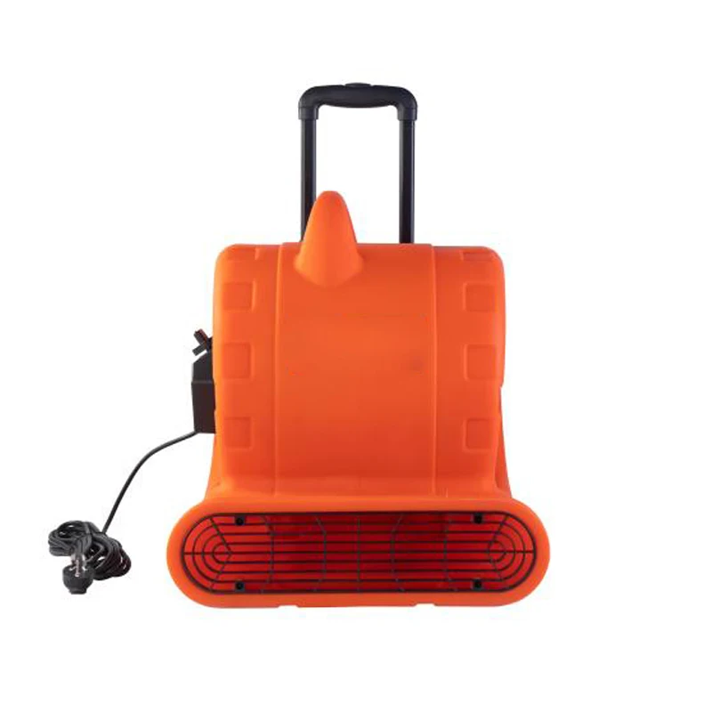 2025 Asciugatrice multiuso per pavimenti e tappeti Ventilatore con temporizzazione intelligente per l'essiccazione dei tappeti