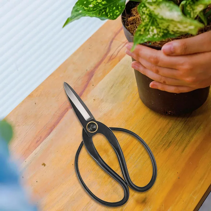 Professional Bonsai Scissors 7.3\