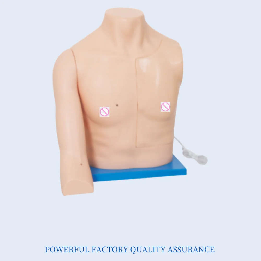 Intravenous Intervention Training Model Medical Science Venous Intervention Simulation Nursing Teaching Aids for Medicine Colleg