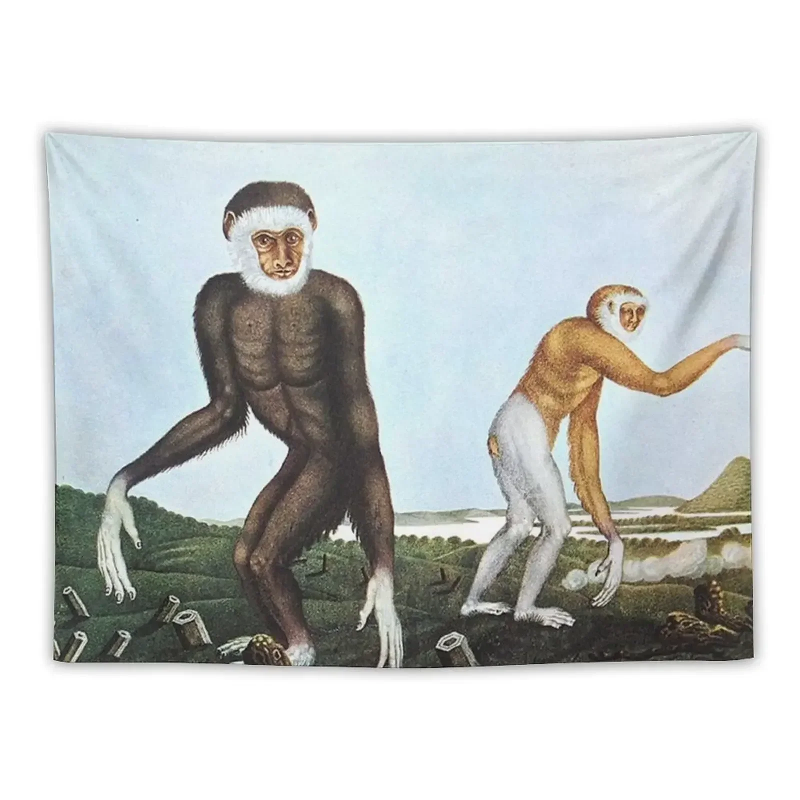 Gibbons vintage illustration Tapestry Home Decorations Wall Hangings Decoration Tapestry