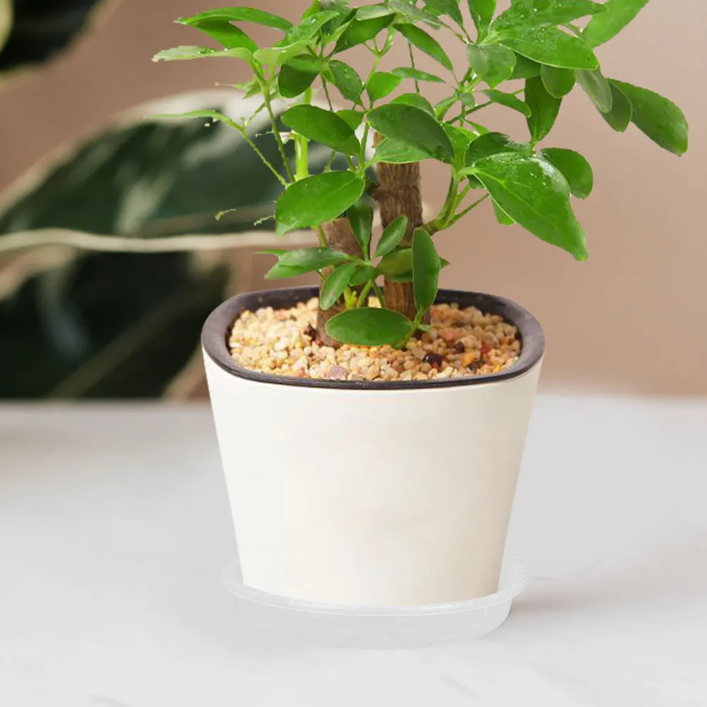 

10pcs Round Flower Pot Trays Transparent Plastic Plant Water Saucers Clear Drainage Drip Trays for Indoor Plants No
