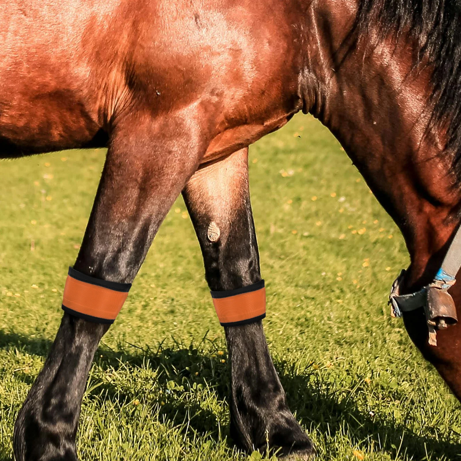 4 قطعة LED الحصان الساق الفرقة ليلة السلامة عالية الوضوح ركوب الفروسية والعتاد الأشرطة العاكسة لركوب الخيل المسائية #6