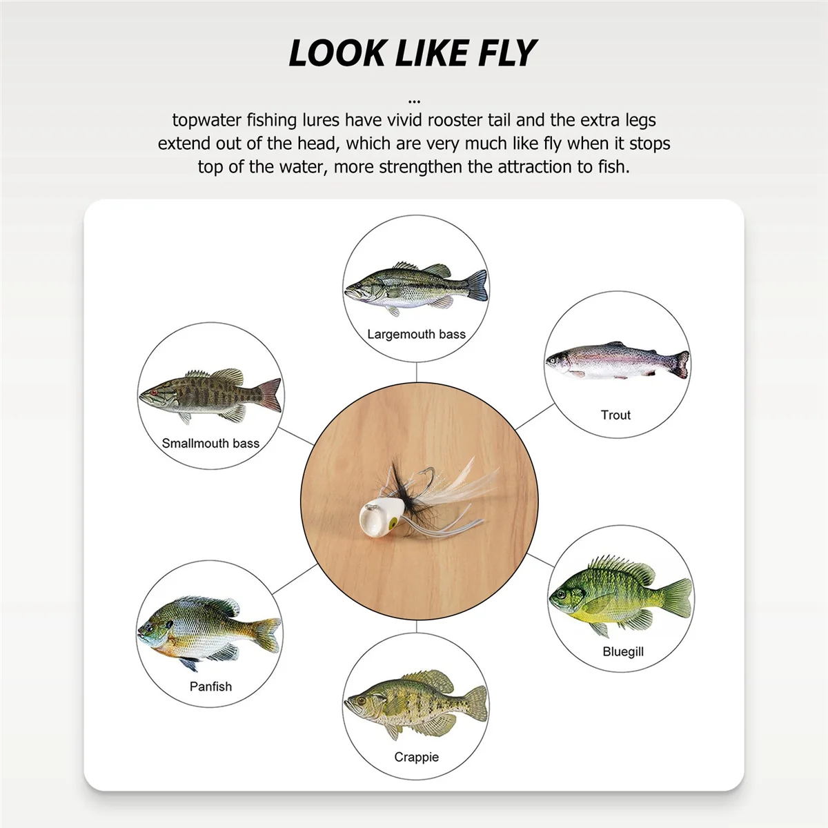 10PCS Fly Fishing Poppers,Topwater Fishing Lures Bass Crappie