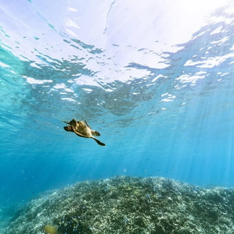 2 Stück 13-Zahn-Achsen-Differentialausgangsrad Ersatzteile Zubehör Ersatz für 1/10 RC-Fahrzeuge Einfache Installation aktualisiert