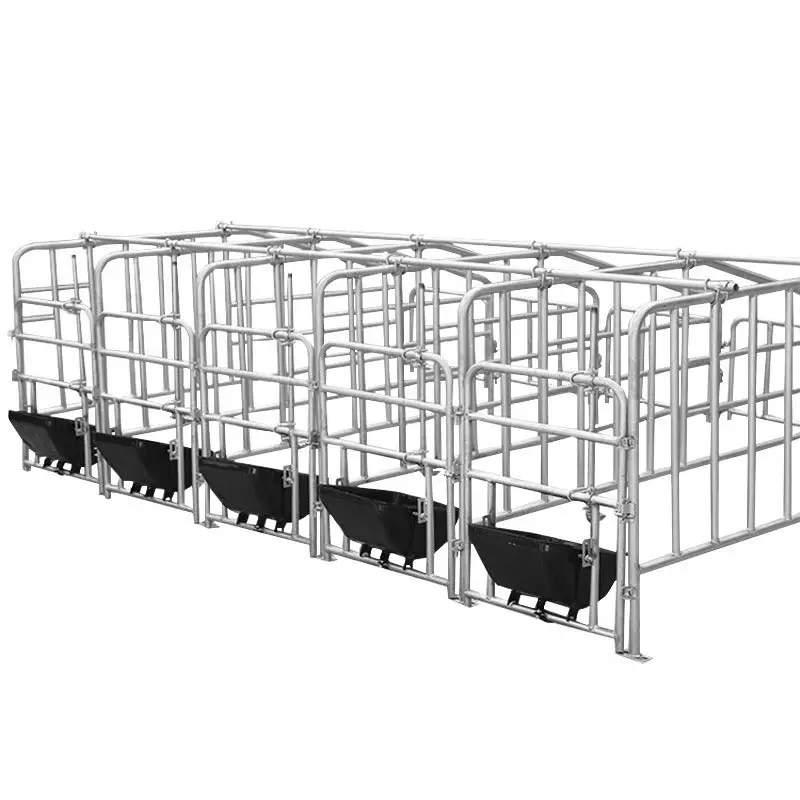 piggery equipment pig farm hot dip galvanized steel pipe sow gestation cage gestation crates for pig