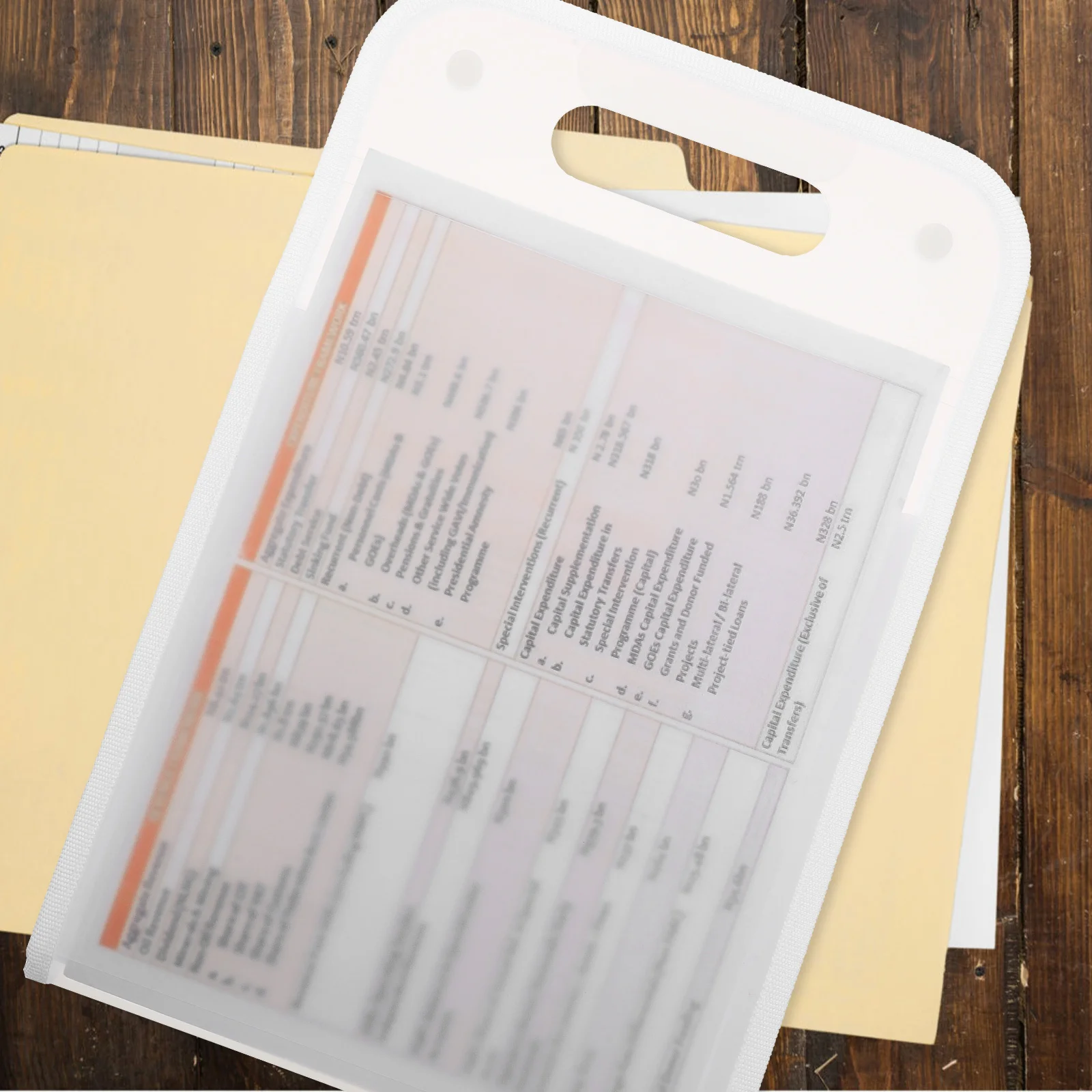 

Standing Document Folder Expandable File Organizer Premium Quality Stylish Design Portable Large Capacity Art Portfolio Bag