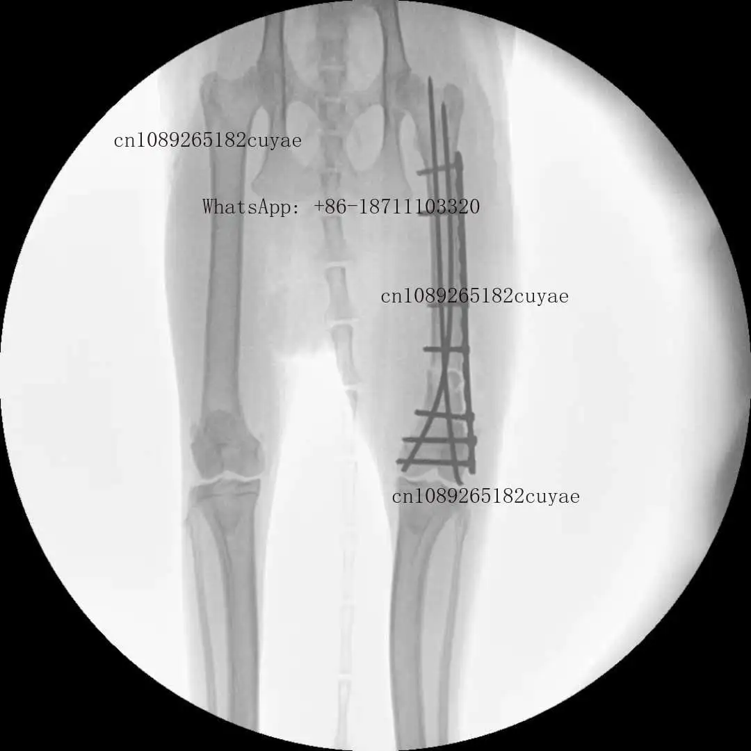 YSX-C112 VET Ysenmed Veterinary Xray Medical Mobile C Arm X-ray Machine High Frequency Mobile C-arm X Ray System