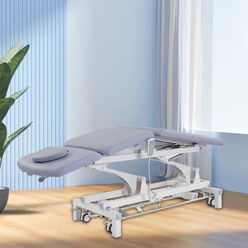 for Cross-border Lifting Beauty Chair Multi-functional Physiotherapy Bed Massage Bed for Beauty Salon Electric Beauty Bed