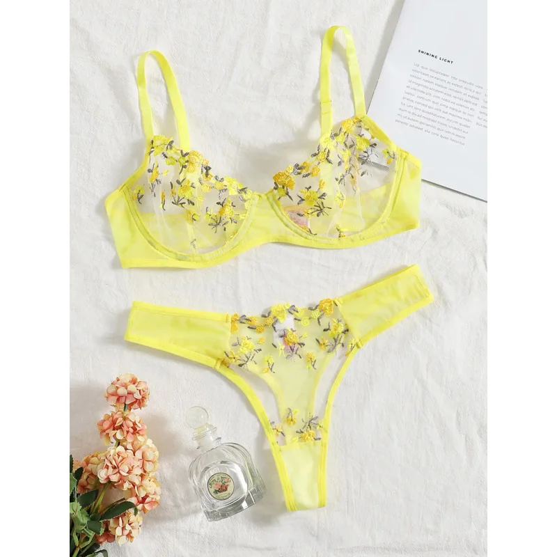 

2024 Sexy Lingerie Woman Lace Transparent Underwear Fairy Embroidery Brief Sets Delicate Bra Kit Push Up Breves Sets Erotic Bra