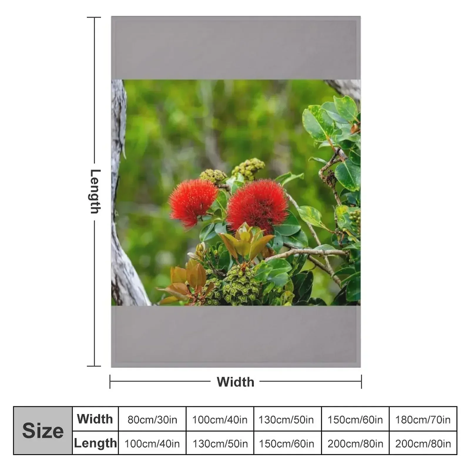 Lehua Twice Throw Blanket couch cozy soft plush fuzzy picnic outdoor blanket