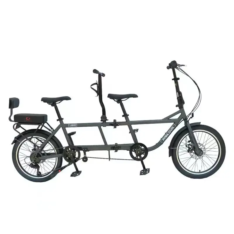 

20 inche Folding Tandem Bike City Tandem Bicycle, Adult Beach Cruiser 7-Speeds Foldable MTB 2 peoples DIY bikes