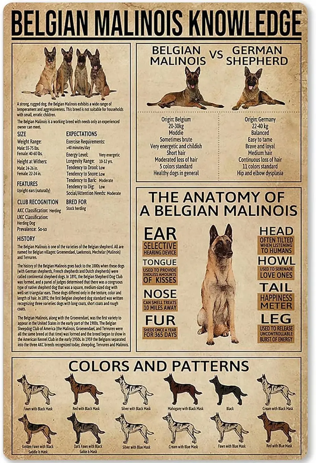 Belgian Malinois Knowledge Metal Tin Sign Animal Unplaning Poster Retro School Infographics Farm Home Kitchen Wall Decoration Pl