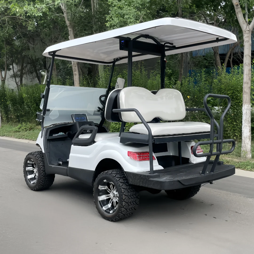 4 Seater 2024 Brand 500kg 250cc Cheap Factory Price 2 Person Golf Cart 6 Seater for Hotel Reception