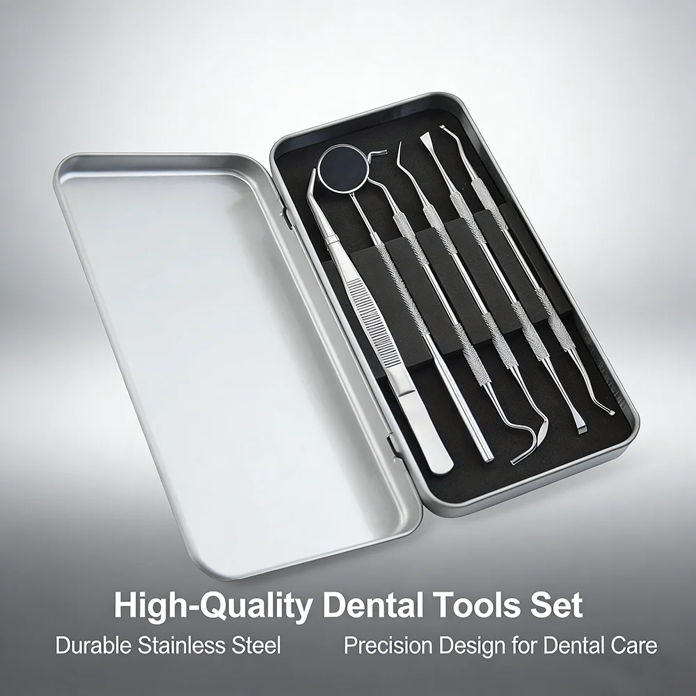 Kit de Cuidados Orais Portátil Reutilizável, Ferramentas de Limpeza Dental, Instrumentos Profissionais para Uso Diário em Casa e Viagens