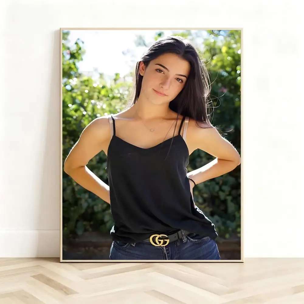 Trendy Creator C-Charli D Amelio Poster Classic Self-Adhesive PP Wall Sticker for Living Room Bar Decor Gift