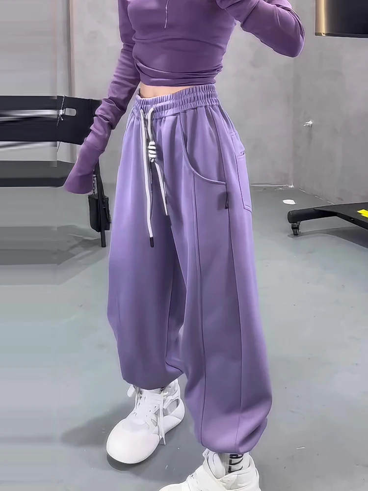 Retro americano fitn roxo fce-forrado cintura elástica solta calças esportivas femininas outono inverno longo perna larga