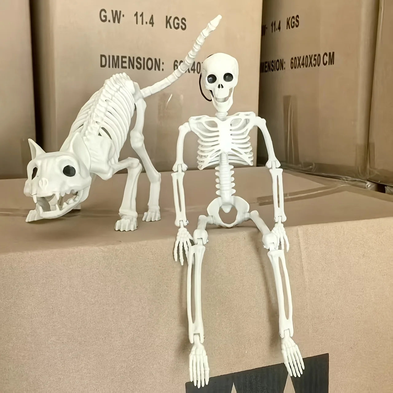 3 stücke Halloween Tier Skelett Katze und Maus Skelett Skelett Modell Halloween Horror Dekoration Spukhaus Dekoration Requisiten