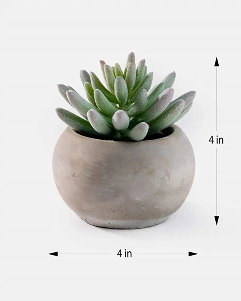 

Serene Spaces Living Flocked Finger Succulent in Cement Pot, Perfect for Weddings and Home Décor，Diameter x 4in High, Set 2