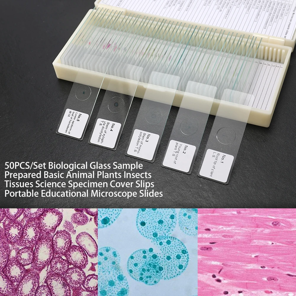 50PCS/Set Biological Glass Sample Prepared Basic Animal Insects Tissues Specimen Slips Portable Educational Microscope Slides