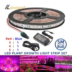 5m/set LED Plant Growth Fill Light Strip 5050 SMD Red+Blue Flexible Tape Lamp Bar 12V 5A UK US EU AU Pulg Desktop Power Adapter