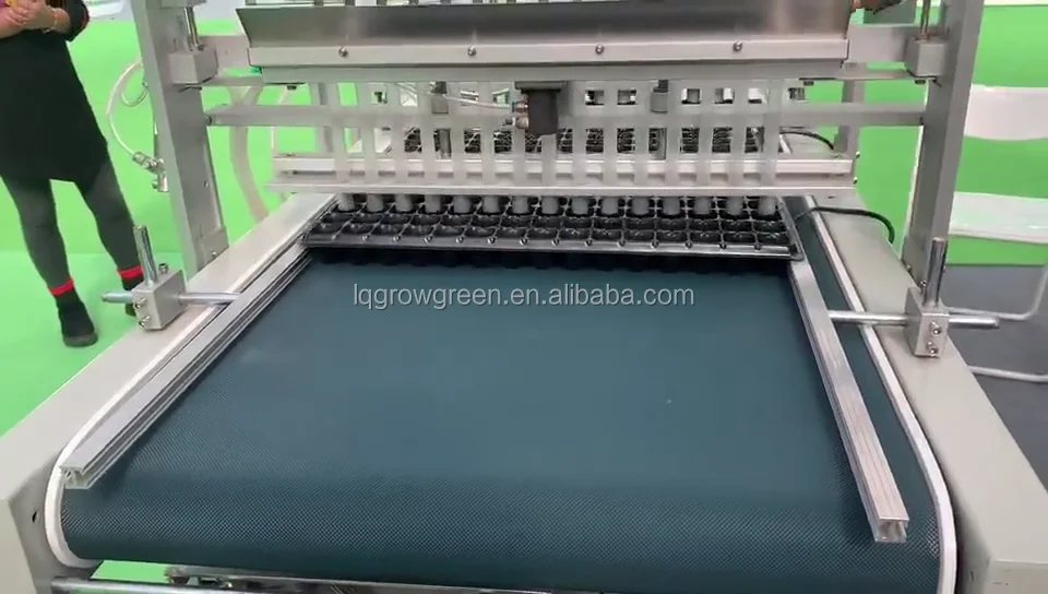 آلة بذر البذور الحضانة آلة شتلات الأرز التلقائي آلة بذارة الخضروات خط لعلبة الشتلات الأرز #3